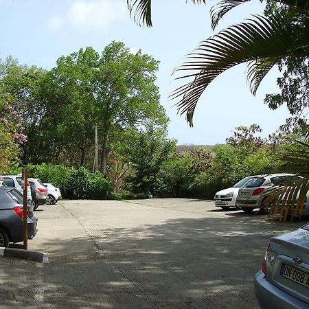 Palm'Studio Anse De Caritan Sainte-Anne Exterior photo