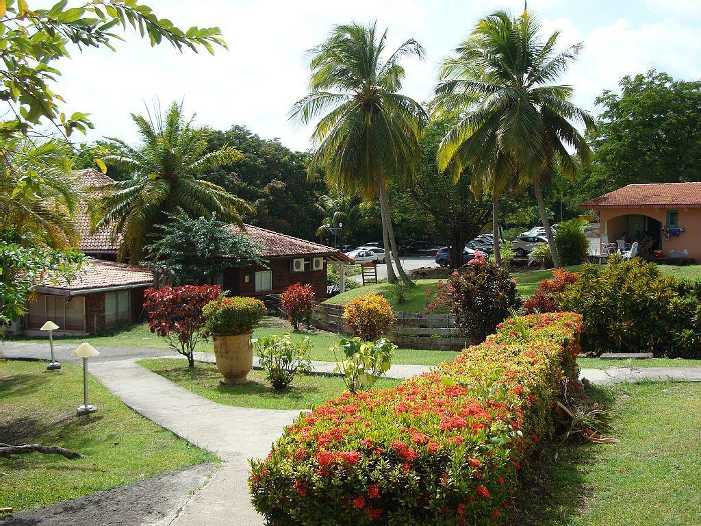 Palm'Studio Anse De Caritan Sainte-Anne Exterior photo