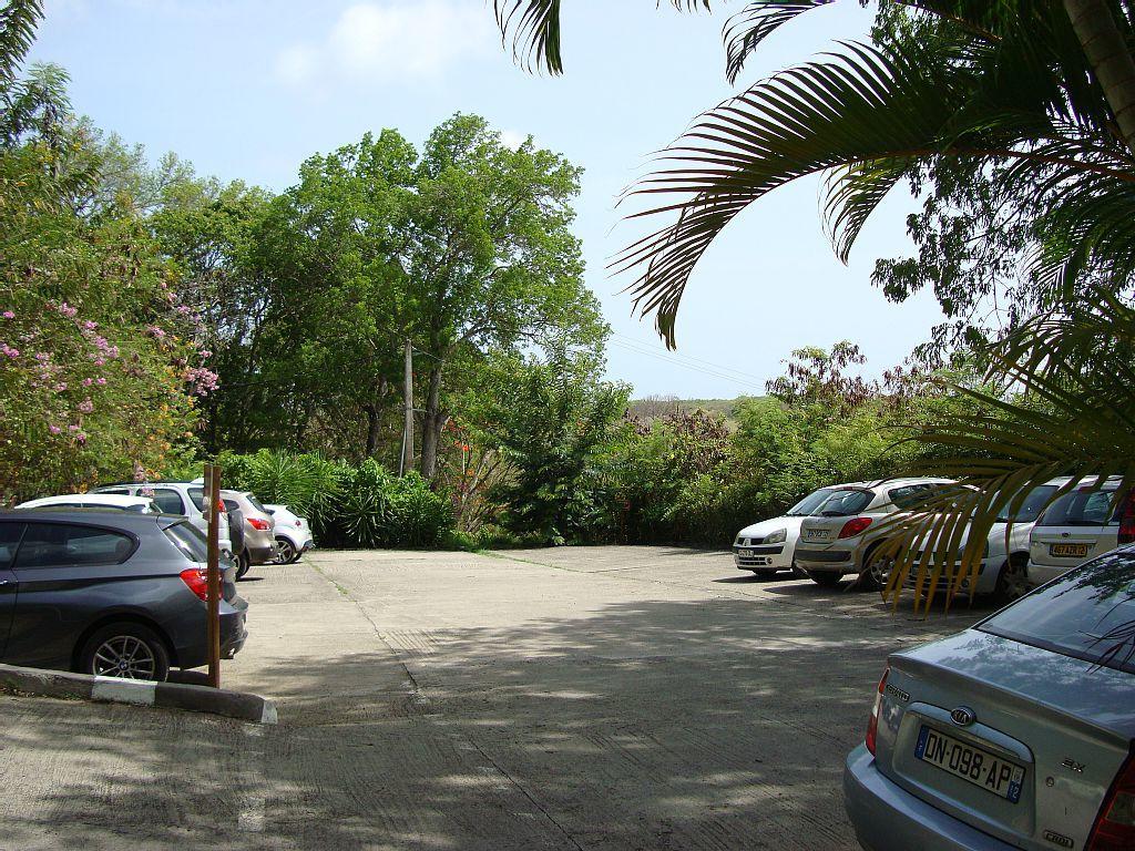 Palm'Studio Anse De Caritan Sainte-Anne Exterior photo