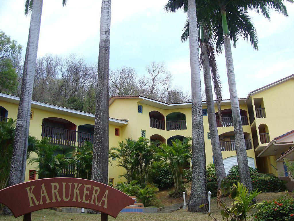 Palm'Studio Anse De Caritan Sainte-Anne Exterior photo