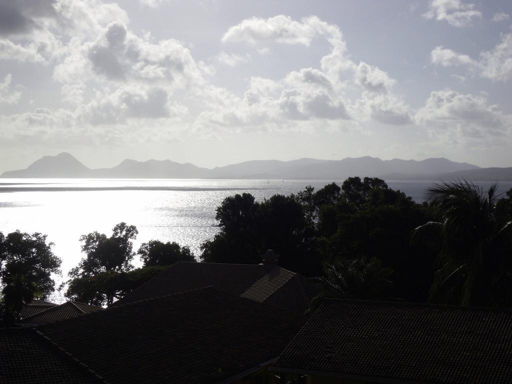 Palm'Studio Anse De Caritan Sainte-Anne Exterior photo